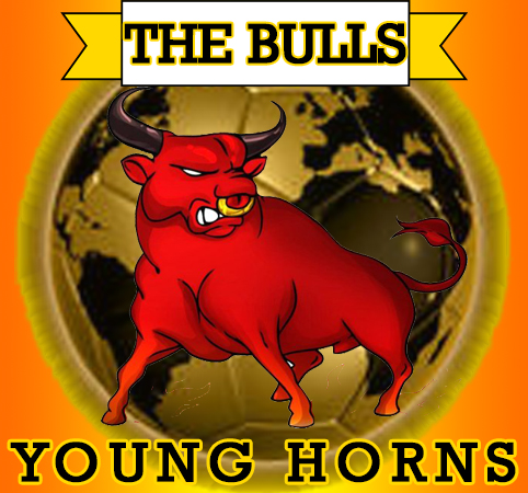 THE BULLS YOUNG HORNS